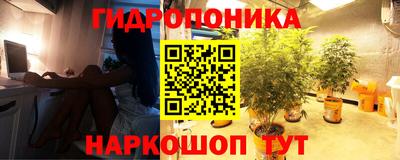 spice Краснознаменск