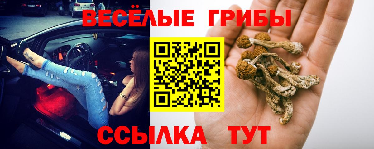 Меф   Вейп ТГК  Купить наркотики цена  МАРИХУАНА  COCAIN  Киселёвск  МАРИХУАНА  ГАШ  Codein  Вход с VPN 