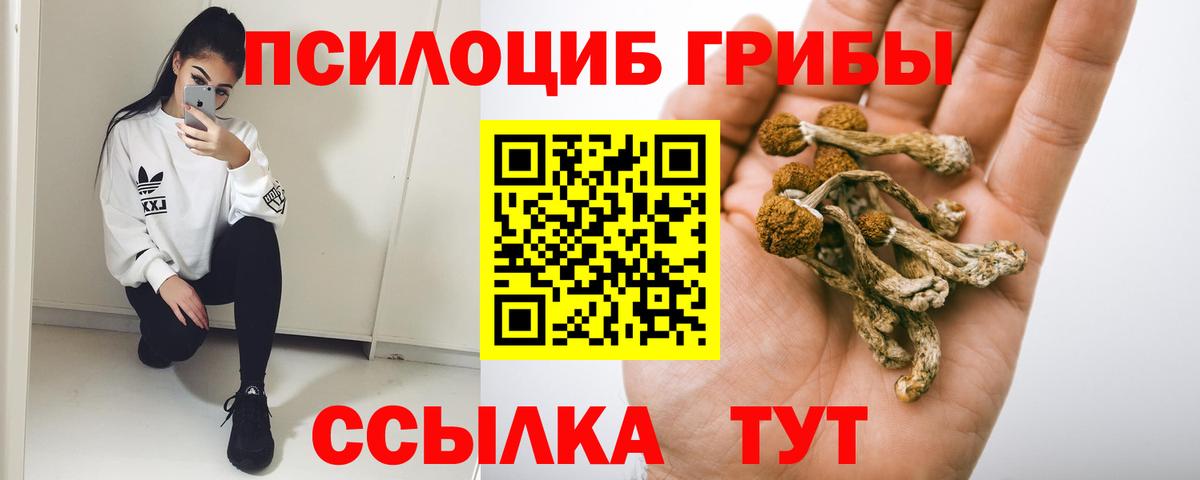 Киселёвск  цена   Вход с VPN  Псилоцибиновые грибы ЛСД 